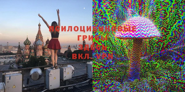 МДПВ Абинск