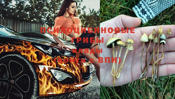 МДПВ Абинск